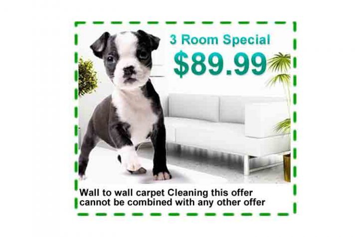 //allfreshcarpetcleaners.com/wp-content/uploads/2018/07/optundr2.jpg