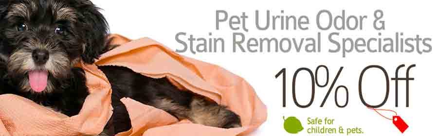 pet stain removal