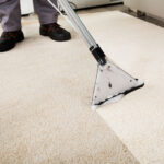 Carpet Cleaning in Fulton County