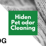 pet-odor-cleaning