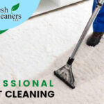 professional-rug-cleaning-services