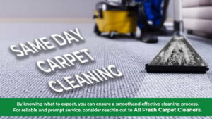 same-day-cleaning-service