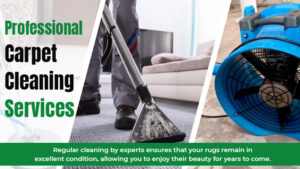 professional-carpet-cleaning-service