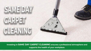 same-day-carpet-cleaning-near-you