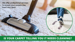 carpet-cleaning-service