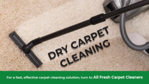 dry-carpet-cleaning