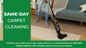 same-day-carpet-cleaner