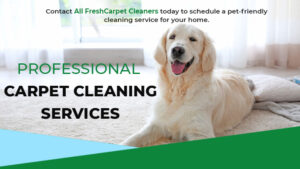 professional-carpet-cleaning-remove-pet-odors