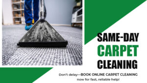 same-day-carpet-cleaning