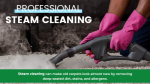 steam-clean-carpet