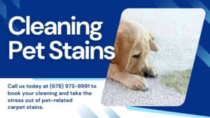 cleaning-pet-stains