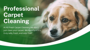 pet-odors