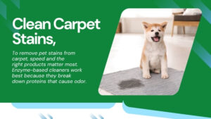 clean-carpet-ctains