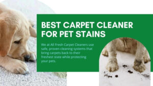 best-carpet-cleaner-for-pet-stains