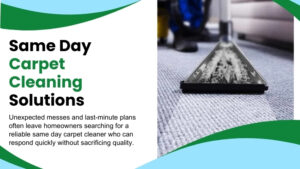 same-day-carpet-cleaners