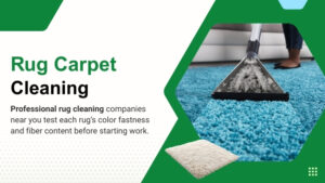 area-rug-cleaning