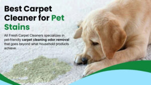 carpet-cleaner-for-pet-stains