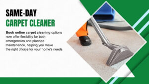 Same-day-carpet-cleaner