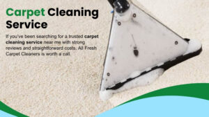 carpet cleaning service