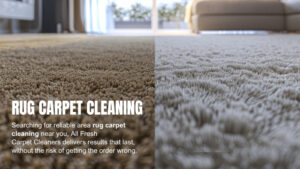 area rug-carpet-cleaning