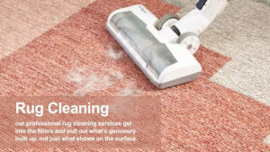 carpet rug cleaning
