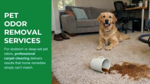 remove pet odor fast