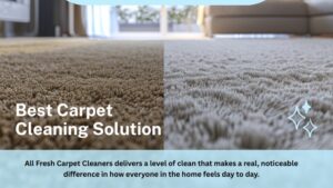 carpet cleaning solution for allergies