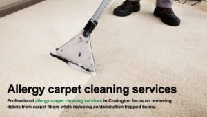 allergy carpet cleaning services