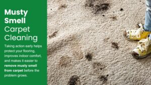 Carpet Smells Musty