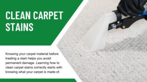 how to clean carpet stains