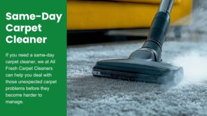 same-day carpet cleaner