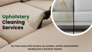 upholstery cleaning services