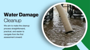 water damage cleanup