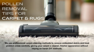 pollen out of carpet