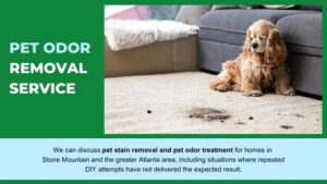 carpet cleaning professionals