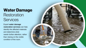 musty smeel water damage