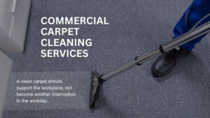 Safe Dry Carpet Cleaning