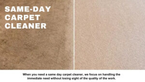 Carpet Cleaning